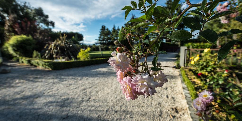 Mount Thomas Road B&B Rangiora Exterior photo